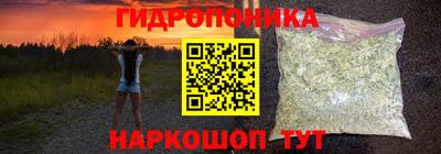 apvp Можга