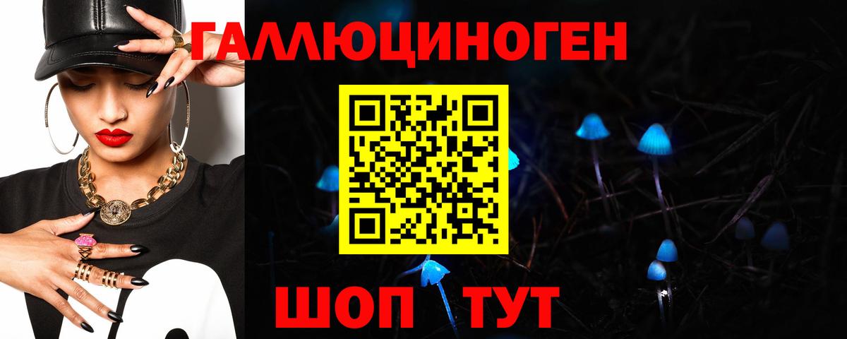 Псилоцибиновые грибы Psilocybe  Псилоцибиновые грибы мухоморы  Вход с VPN  Якутск 